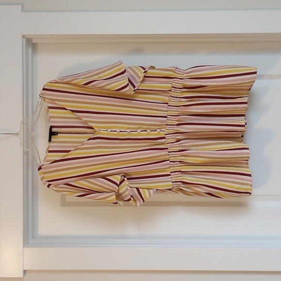 Lane Bryant Womens Peplum Top Sz 24 Short Sleeve V-Neck Smock Waist Stripe Pink - Picture 1 of 10